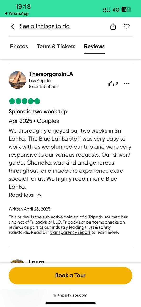 TripAdvisor Guest Review
